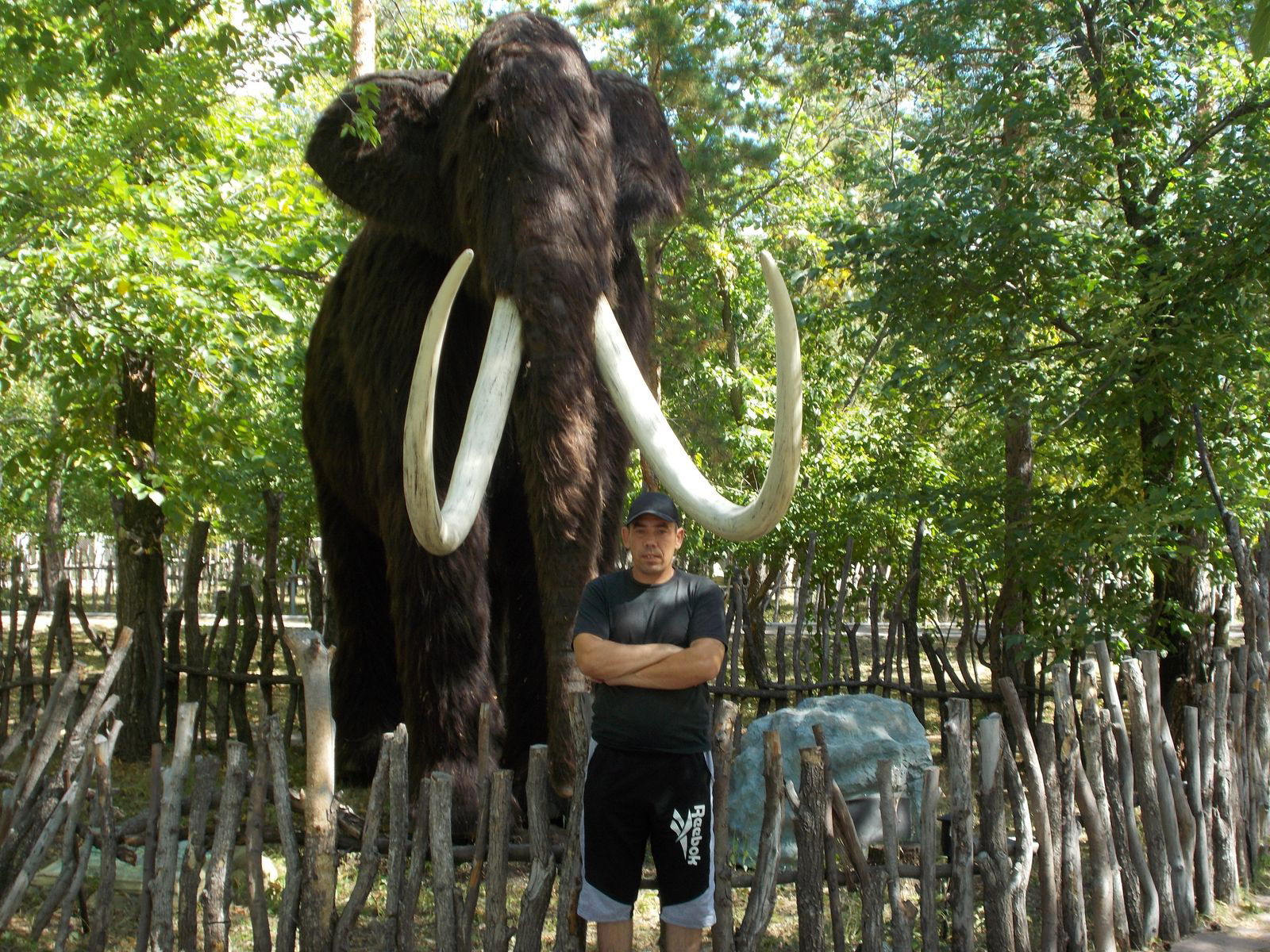 Александр Николаев