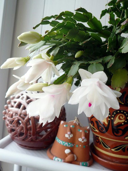 Тамара Малафеева