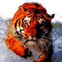 Анжелина Нургалеева