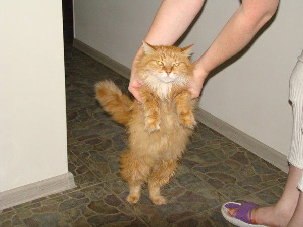 Лана Власова