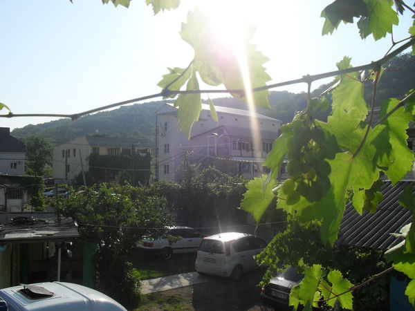 Максим Федотов