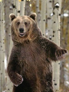 Сергей Бугрин