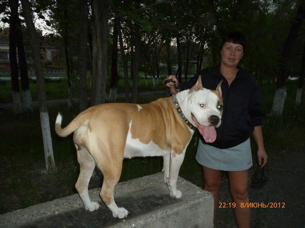 Ирина Маняк