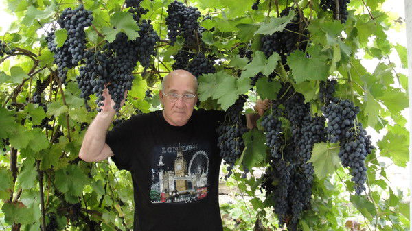 Александр Кудрицкий