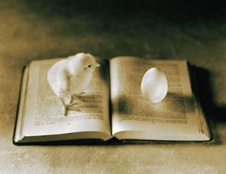 Акжарский Оо, Фк И С