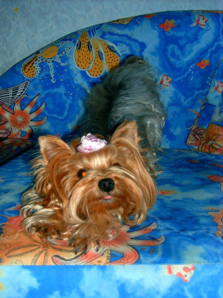 Ирина Колодяжная