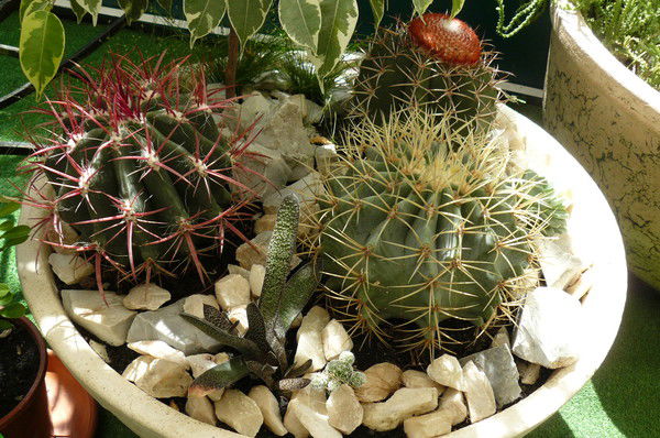 Тата )))))))))))