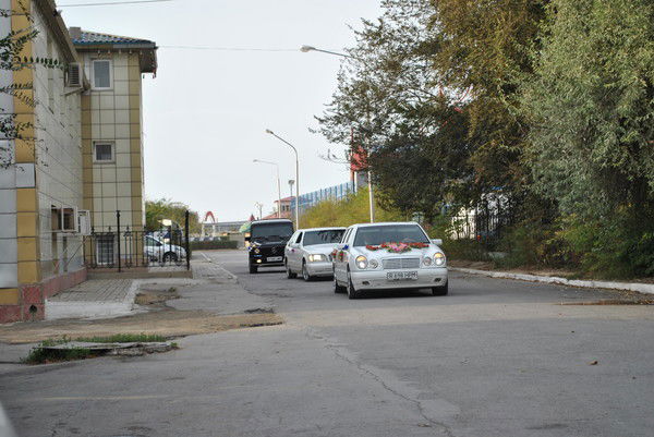 Берекет Жанибек