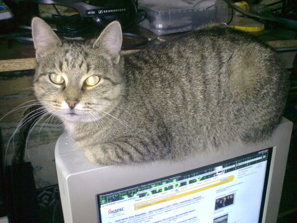 Иван Кузьмин