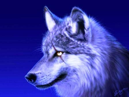 Эдуард Данилов