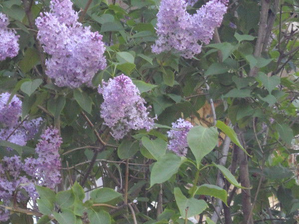 Антонина Крюкова