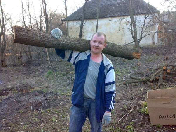 Дмитрий Косолапов