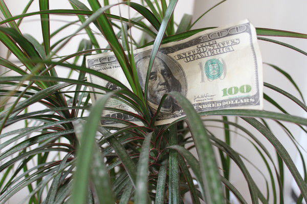 Светлана Рейтарова