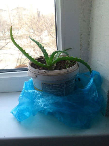 Адылбекй Аширбаевич