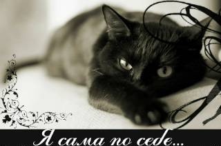 Дарья Сарафинчан