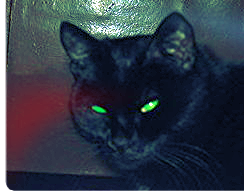 Алексей Бурвин