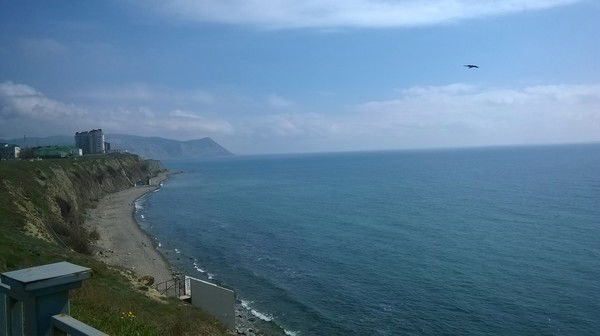 Оксана Олейник