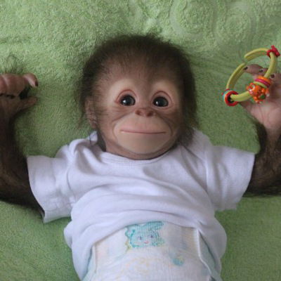 Варвара Андреева