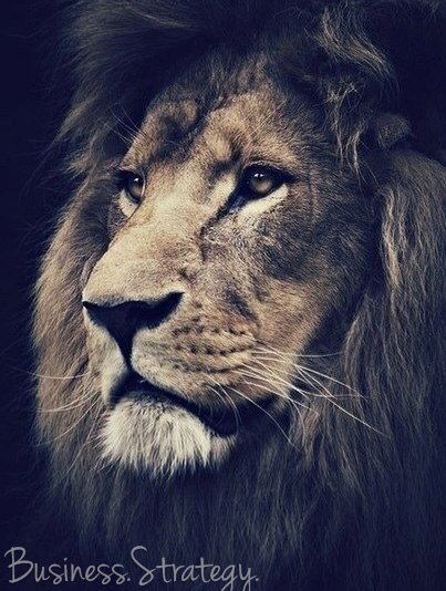 Ернат Несипбаев