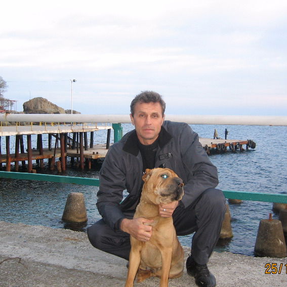 Александр Султанов