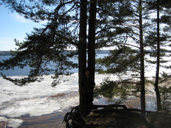 Игорь Зорин