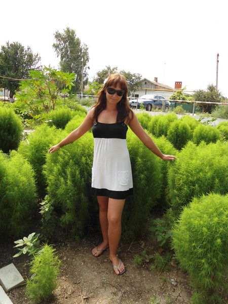 Светланка Войтова