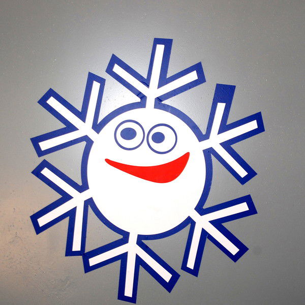 Надежда Перевощикова