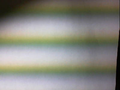 Валентина Сидоренко