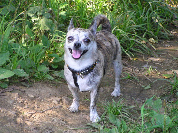 Лариса Потапова