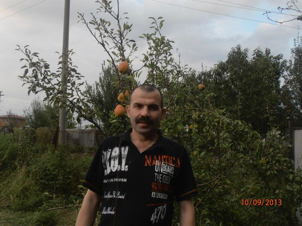 Владимир Мешков