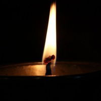 Алина Ноняева