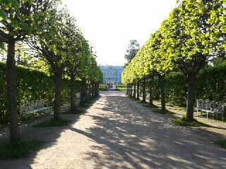 Бахруз Аллахвердиев