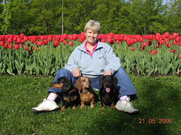 ????»????? ????????????