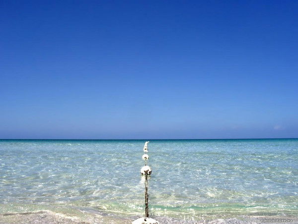 Ольга Зотова