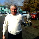 Александр Дзюба