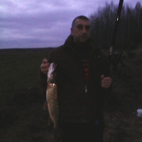 Николай Будник