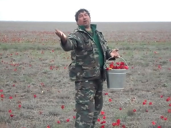 Александр Мурашкинцев