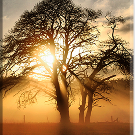 Anatoliy ( Тоха )