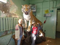 Азат Рашитов