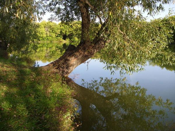 Светлана Бартацкая