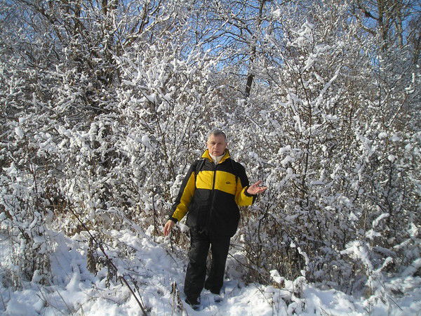 Сергей Белокопытов