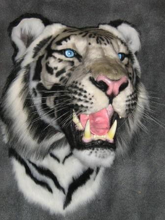 Золкин Александр