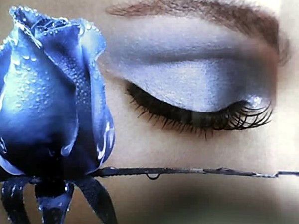 Алиса Никитина