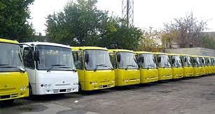 Владимир Владимирович