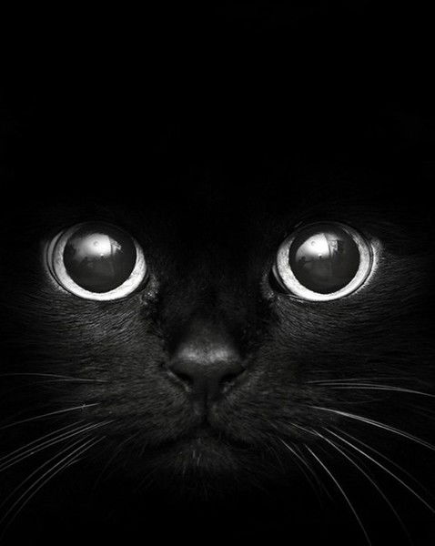 Серега Гольцов