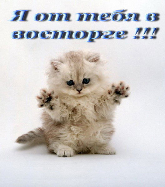 Каират Каирбеков