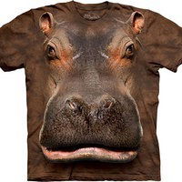 Валентин Шабанов