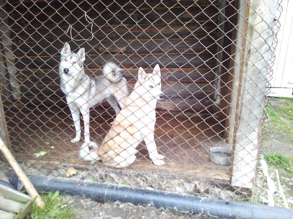 Ольга Кочнева