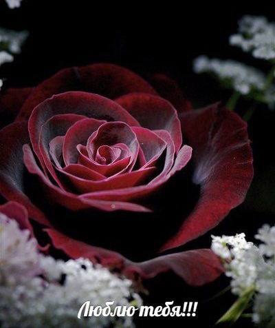 Татьяна Коновалова