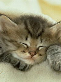 Альперович Ольга